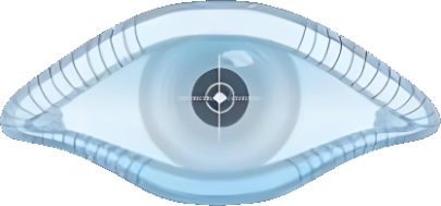 Nmap官方Logo